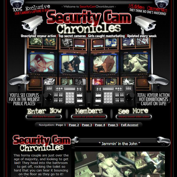 wwwsecuritycamchronicles.com